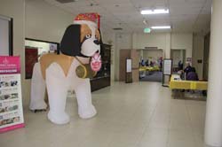 img_2974_26236506507_o